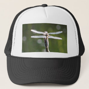 Light grey dragonfly trucker hat