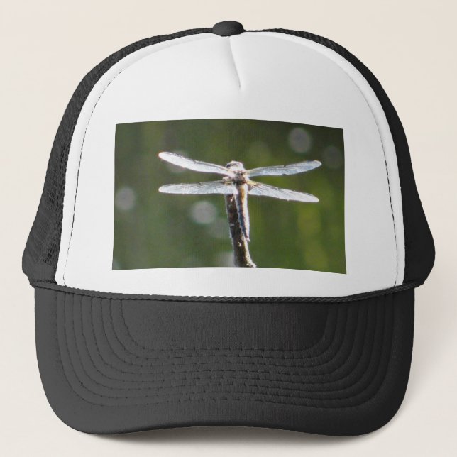 Light grey dragonfly trucker hat (Front)