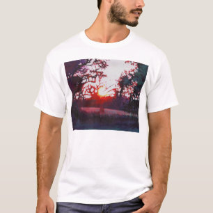 Light grounding 2013 T-Shirt