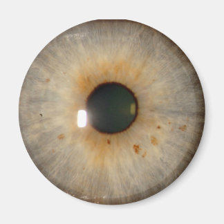 light hazel eye magnet