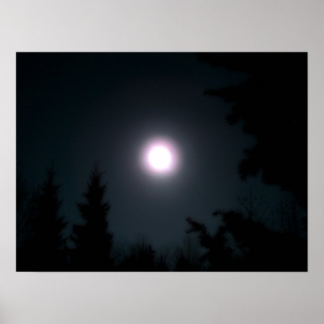 Light in the Darkness Poster (Front)