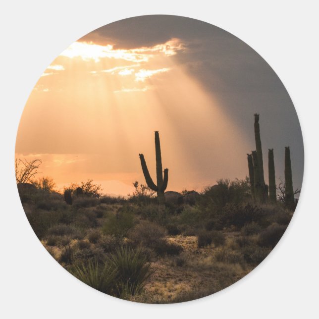 Light in the Desert Classic Round Sticker (Front)