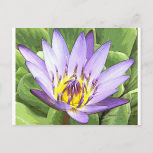 Light in the heart of the lotus postcard