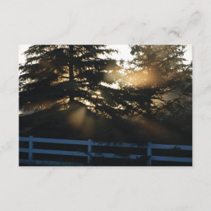 Light in Trees Christian Sympathy cards