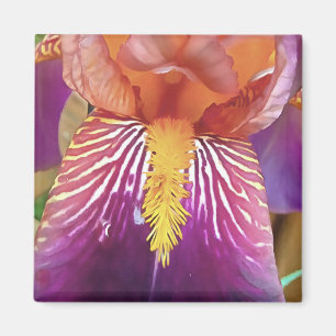 Light Iris Macro Artistic Abstract Magnet