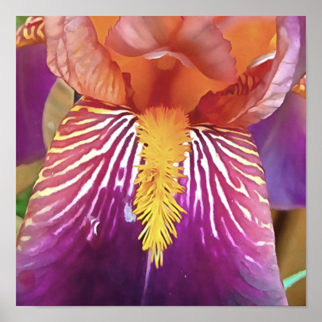 Light Iris Macro Artistic Abstract Poster (Front)