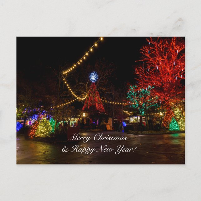 Light It Up For Christmas Postcard (Front)