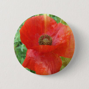 Light Leaks Red Poppy 6 Cm Round Badge