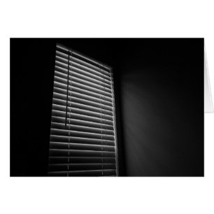 Light, Lines & Shade