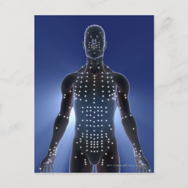 Light map of acupuncture points postcard (Front)