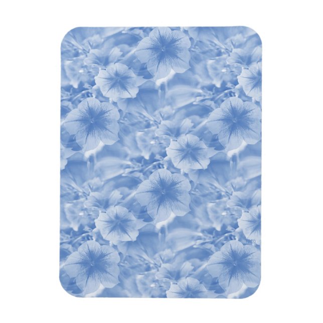 Light moments in Blue... Magnet (Vertical)