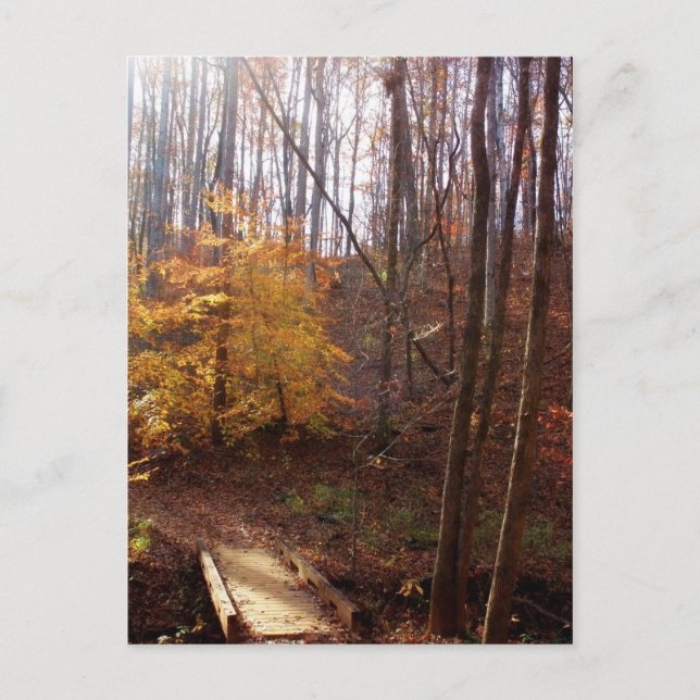 Light My Way Postcard (Front)