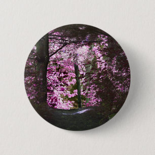 Light On Path Nature Button