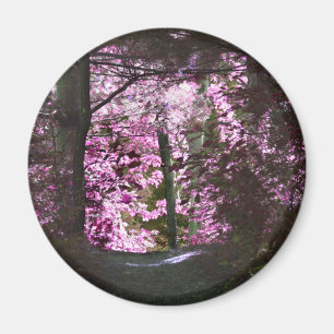 Light On Path Nature Magnet