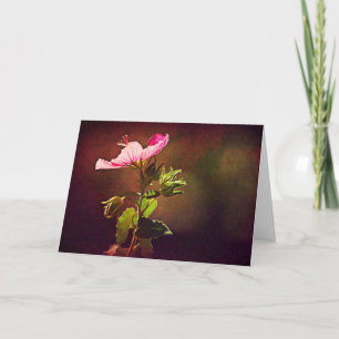 Light On Rock Rose Scripture Card Isaiah 60:1