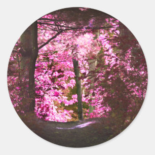 Light On Woodland Path Nature  Classic Round Sticker