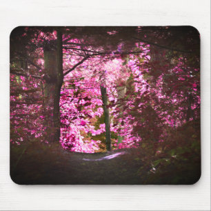 Light On Woodland Path Nature Mouse Pad