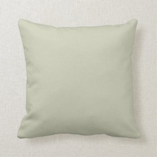 Light Pastel Sage Green Solid Colour Background Cushion