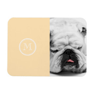Light Peach High End Coloured Magnet