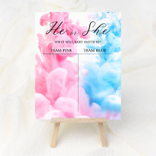 Light Pink Blue Smoke Baby Gender Reveal Welcome Poster