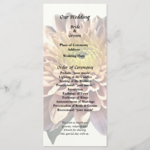 Light Pink Chrysanthemums Program