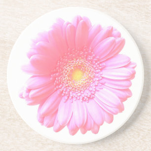 Light pink gerbera daisy coaster