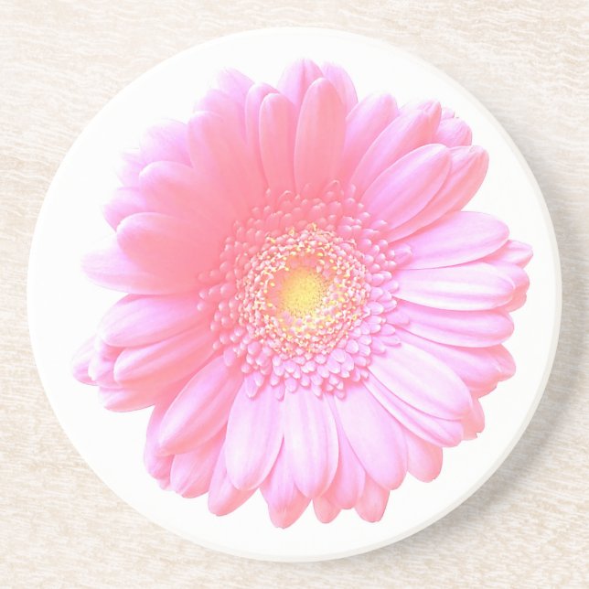 Light pink gerbera daisy coaster (Front)