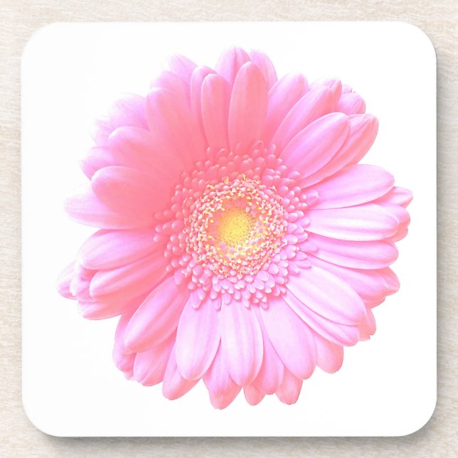 Light pink gerbera daisy coaster (Front)