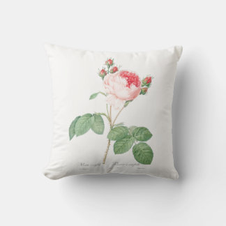 Light Pink Girly Flower Botanic Garden Pink Roses Cushion