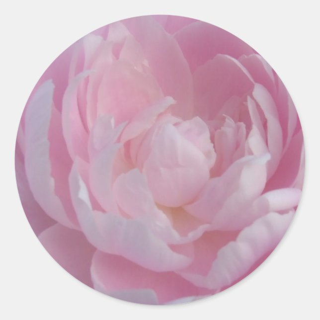 Light Pink Peony Wedding Stickers Peonies (Front)