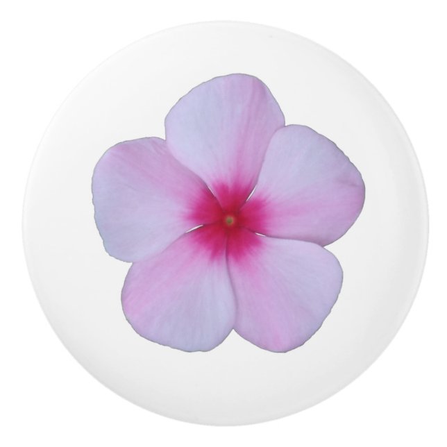 Light Pink Phlox Ceramic Knob (Front)