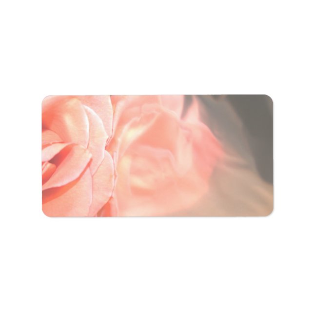 Light pink rose reflection in silver label (Front)