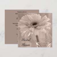 Light Pink Tinted Daisy Bridal Shower