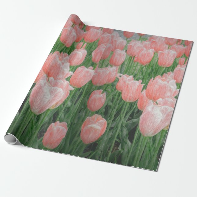 Light Pink Tulip Wrapping Paper (Unrolled)