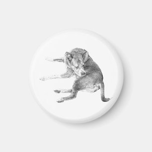 Light Pup Smile Magnet