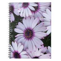 Light Purple Blooms Bouquet