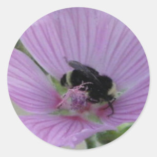Light Purple Flower With Bee Classic Round Sticker
