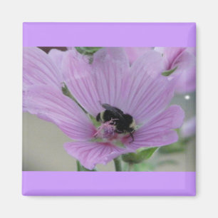 Light Purple Flower With Bee Magnet