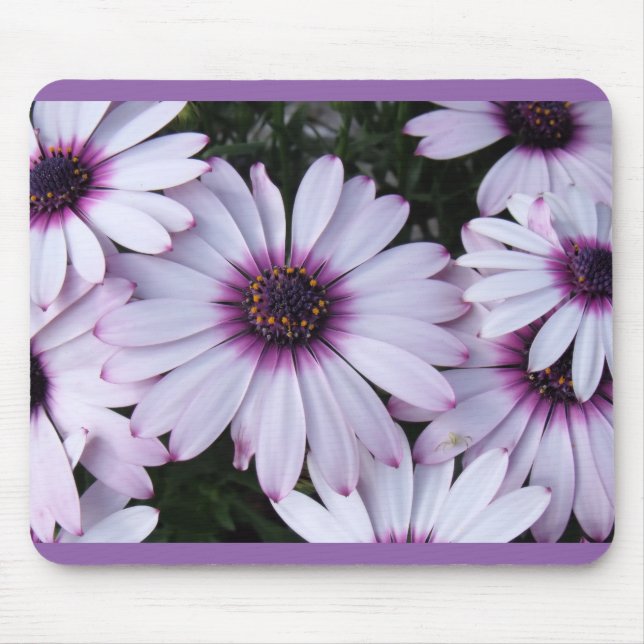 Light Purple Petals with Purple Background Mouse Pad (Front)