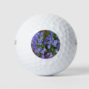 light purple phlox flowers golf balls