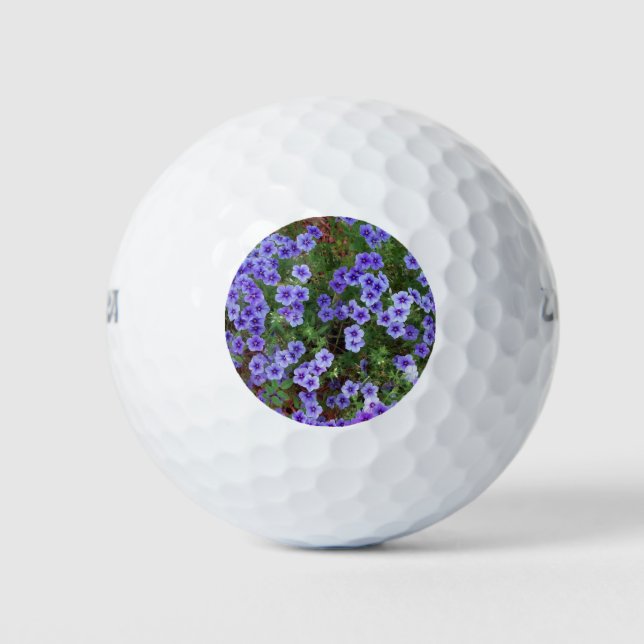 light purple phlox flowers golf balls (Front)