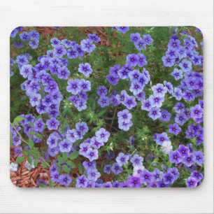 light purple phlox flowers mouse pad