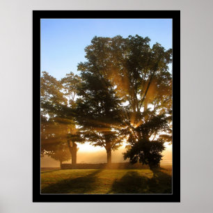 Light Rays 4 Poster