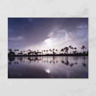 Light reflections in the Lagoon Postcard