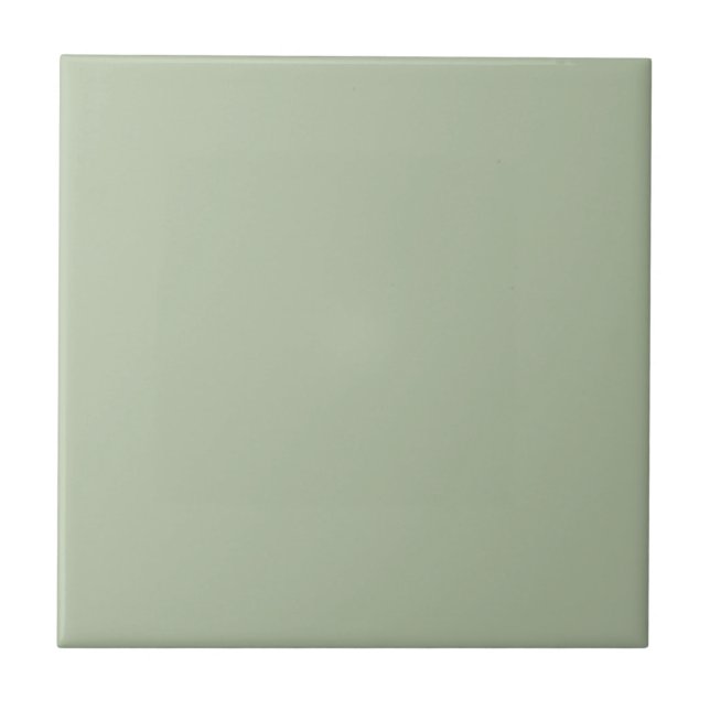 Light Sage Green Solid Colour Ceramic Tile (Front)