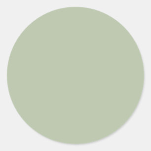 Light Sage Green Solid Colour Classic Round Sticker