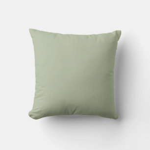 Light Sage Green Solid Colour Cushion