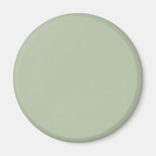 Light Sage Green Solid Colour Magnet