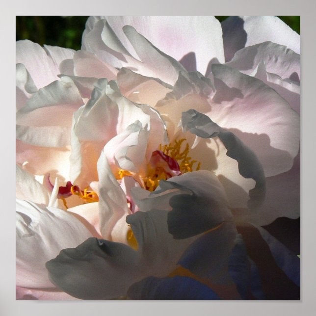 Light & Shadow 2 Poster (Front)