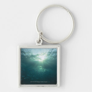 Light shining on coral reef and school of fish key ring